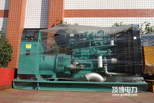 广西顶博发电机组制造机油泵